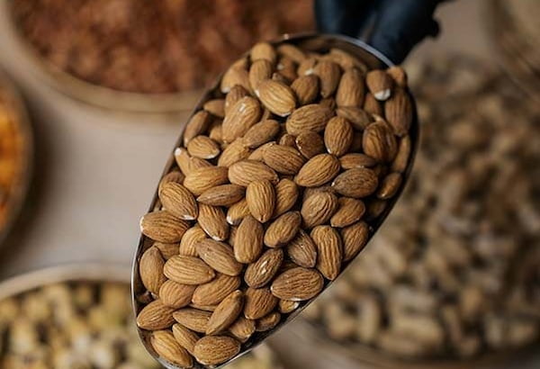 تصویر 3 از قیمت خرید بادام مامایی شور + فروش ویژه